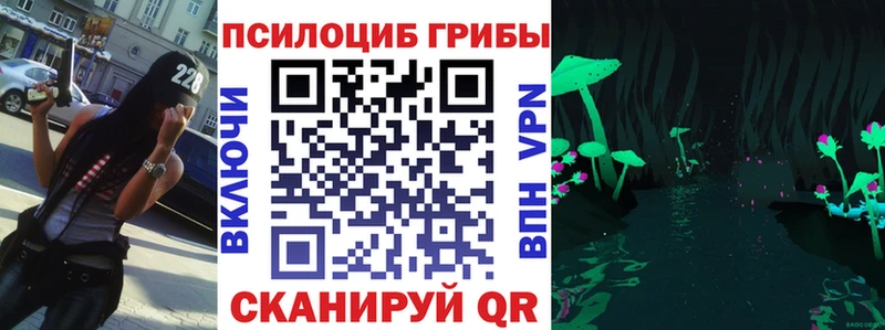 где купить   Подпорожье  Псилоцибиновые грибы MAGIC MUSHROOMS 